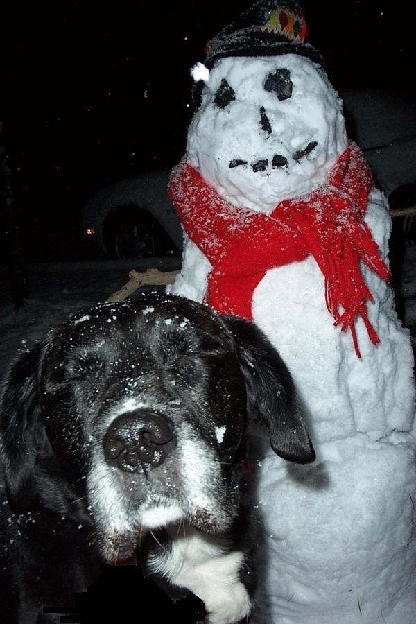 maj snowman