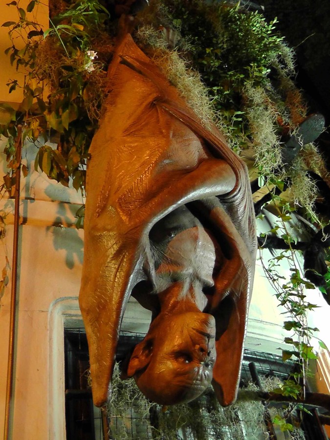 upper east side, manhattan, hallowe'en, travel. travelogue, ailsa prideaux-mooney