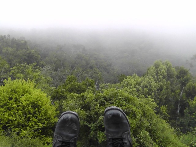 tikal, temple iv, guatemala, travel, travelogue, jungle boots, ailsa prideaux-mooney