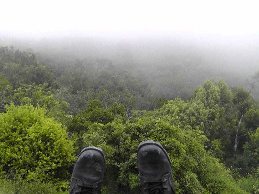 tikal, temple iv, guatemala, travel, travelogue, jungle boots, ailsa prideaux-mooney