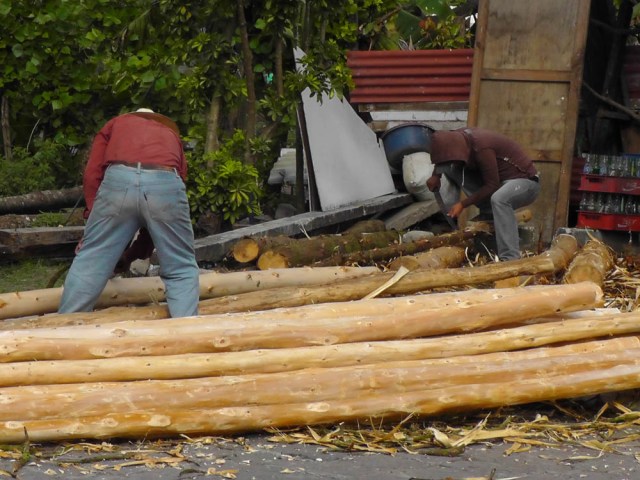 logging santiago