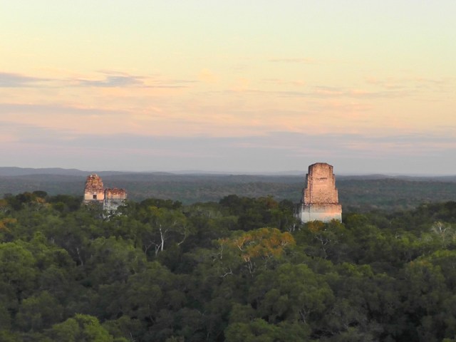 Temples I, II and III to the left, temple V to the right, glowing in the sunset