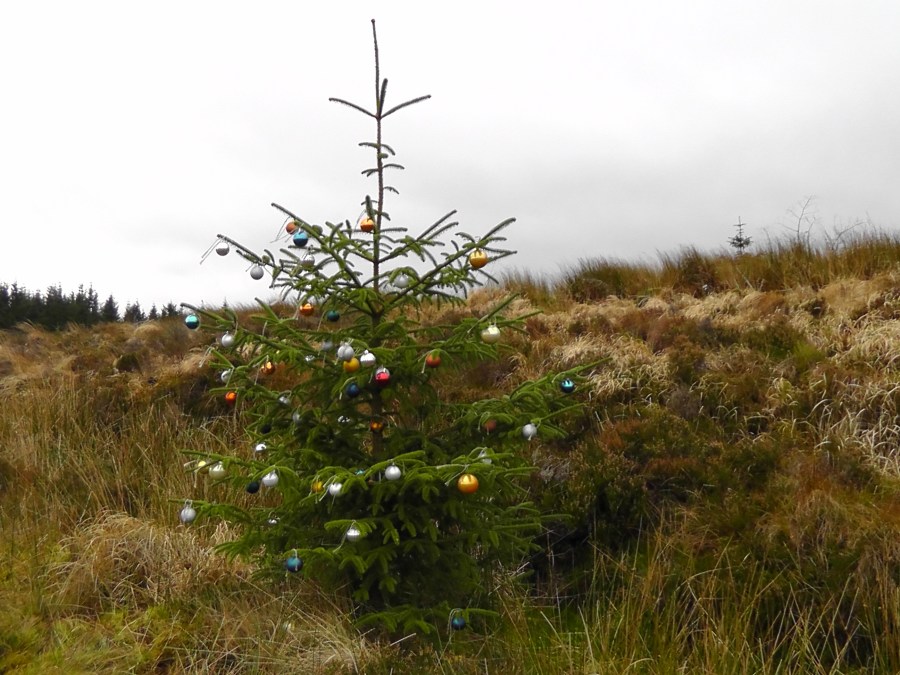 featherbeds, wicklow mountains, ireland, wicklow, travel, travelogue, ailsa prideaux-mooney