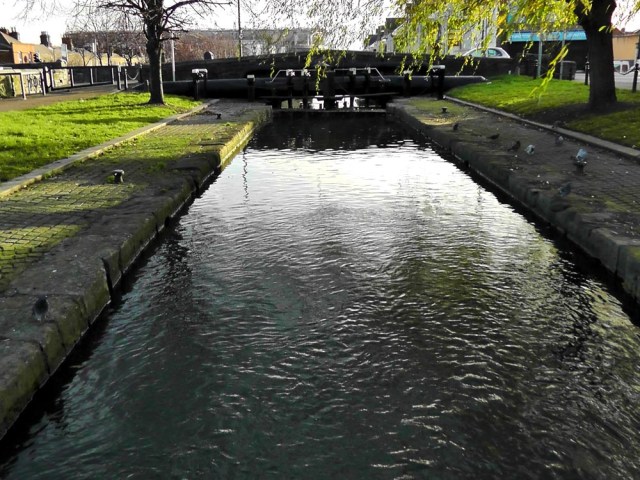 royal canal locks