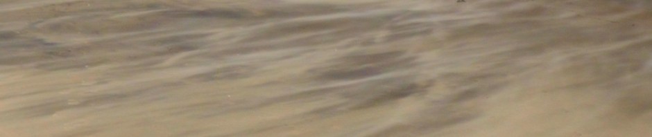 coney island, new york, travel, travelog