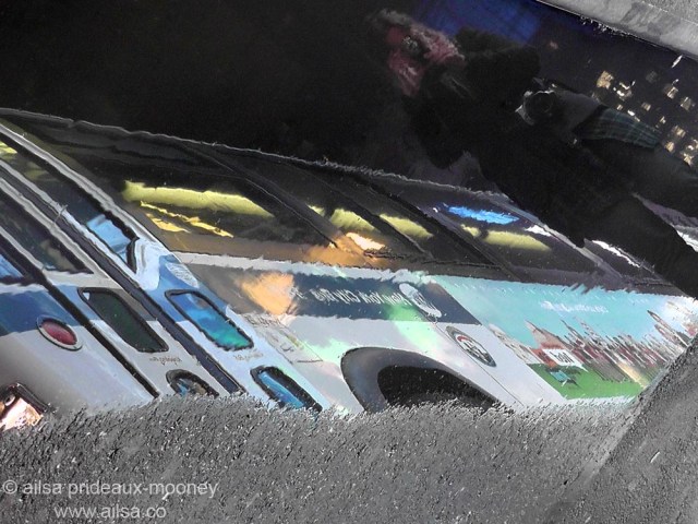 reflections new york bus