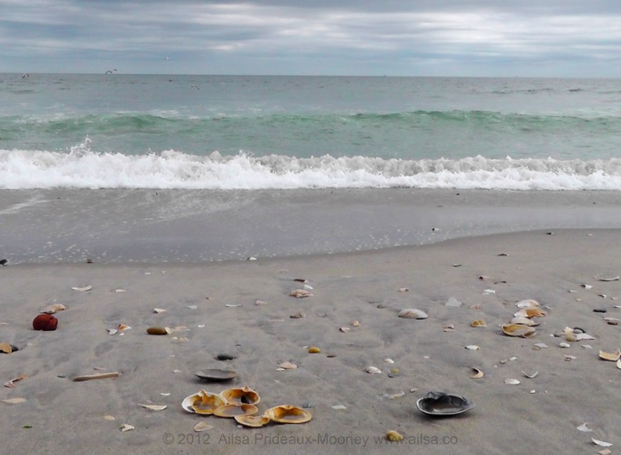 world ocean day atlantic