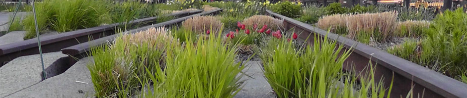 high line park new york piet oudolf