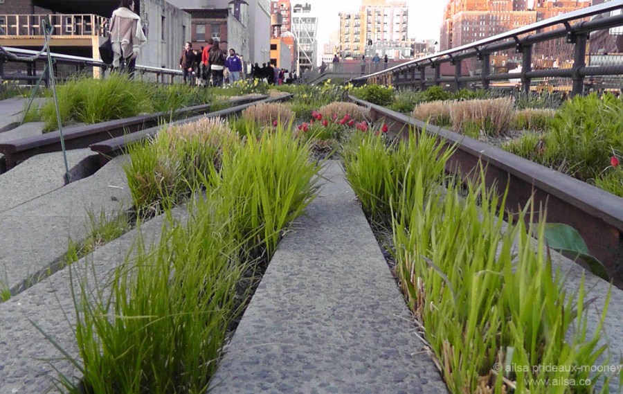 high line park new york