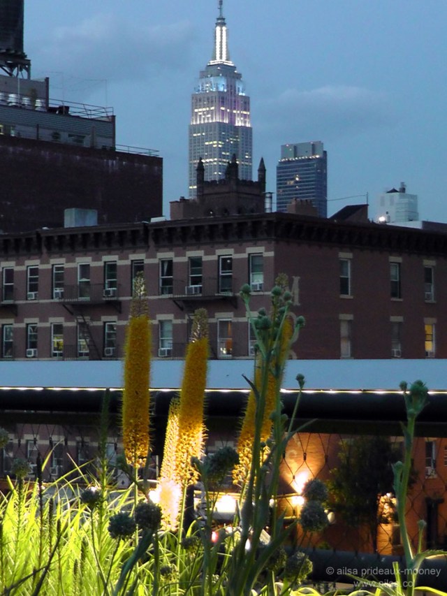 high-line-park-structure high line park new york
