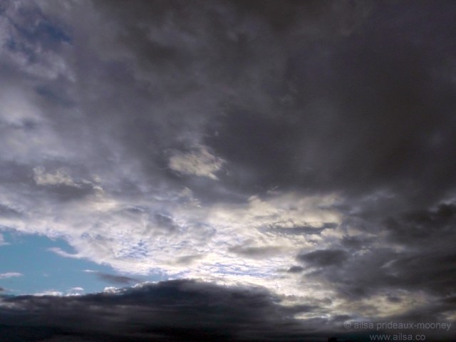 transit of venus new york