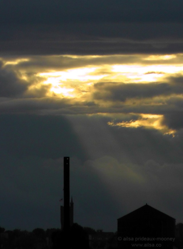 transit of venus new york