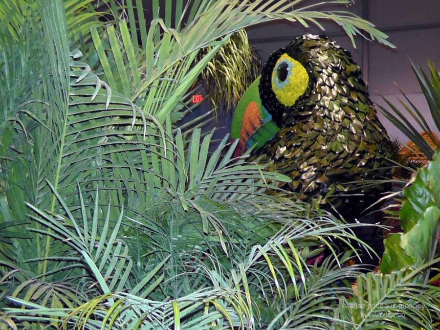 flowers macy's flower show new york 2012