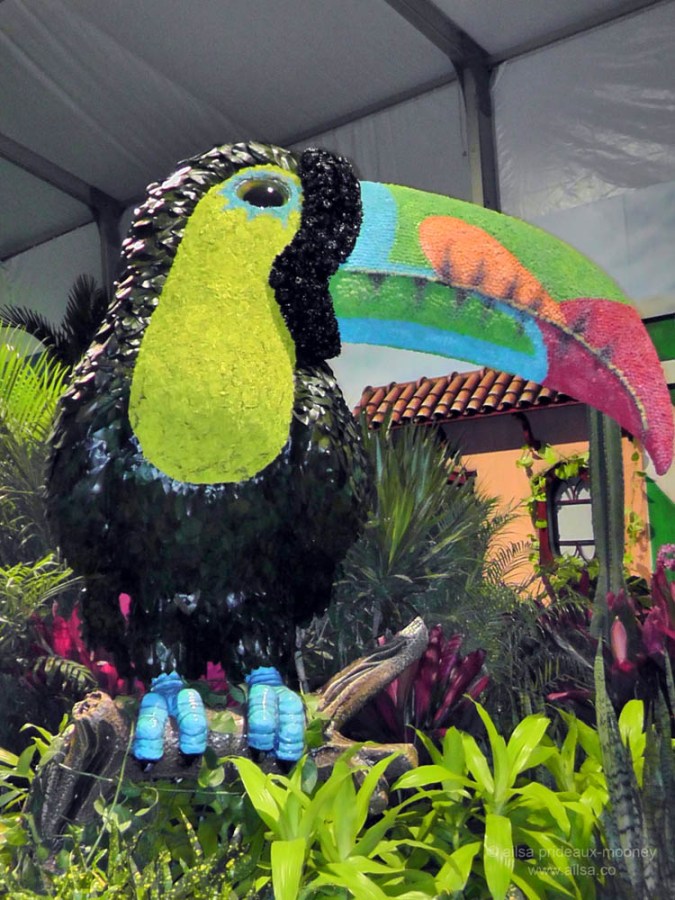 flowers macy's flower show new york 2012