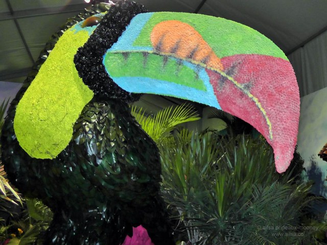 flowers macy's flower show new york 2012