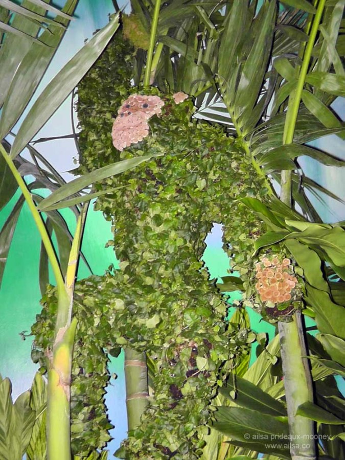 flowers macy's flower show new york 2012