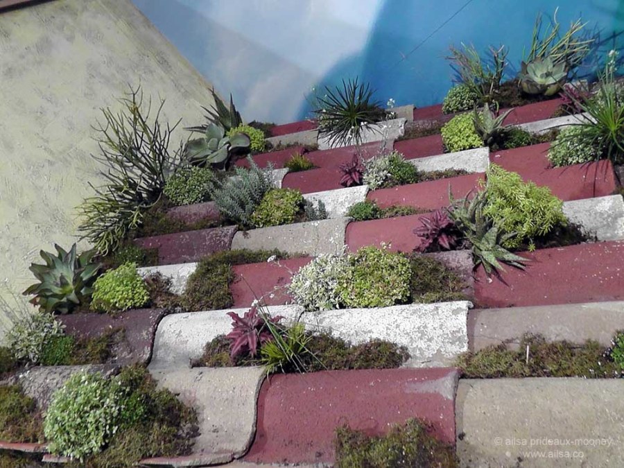 flowers macy's flower show new york 2012