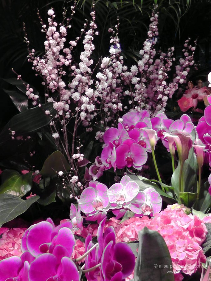 flowers macy's flower show new york 2012