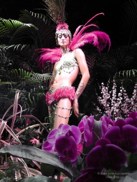 flowers macy's flower show new york 2012