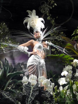 flowers macy's flower show new york 2012