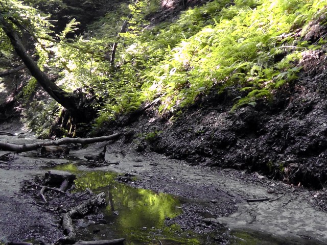 eternal-flame-falls-4 eternal flame falls new york shale creek preserve chestnut ridge park
