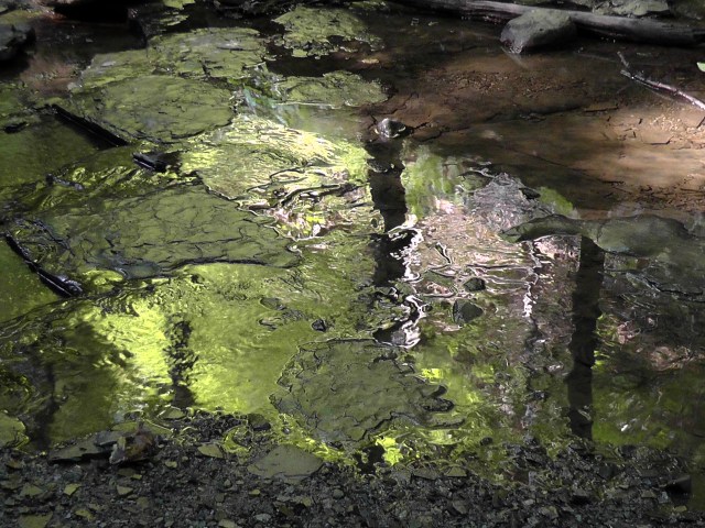 eternal-flame-falls-7 eternal flame falls new york shale creek preserve chestnut ridge park