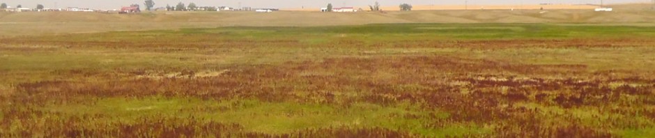 mutiny on the bounty amtrak usa train north dakota