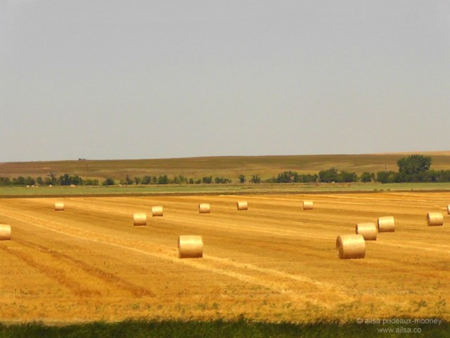 mutiny empire builder amtrak usa train north dakota haystacks