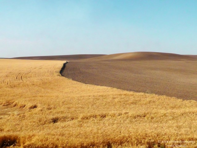 full steam ahead empire builder amtrak rail train travel miro columbia basin fields