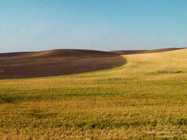 full steam ahead empire builder amtrak train rail travel miro columbia basin fields