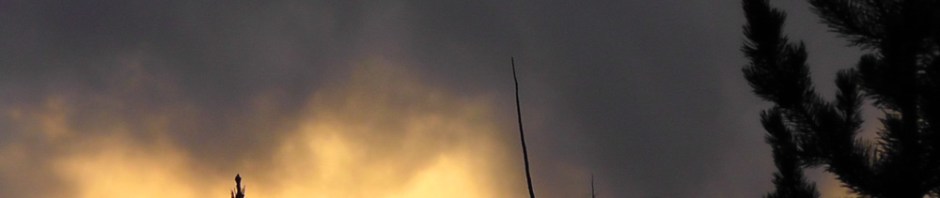 US road trip USA America montana wyoming yellowstone beartooth highway pass sunset