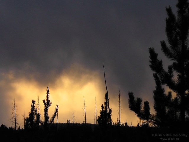 US road trip USA America montana wyoming yellowstone beartooth highway pass sunset