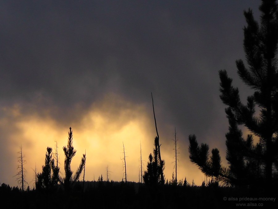 US road trip USA America montana wyoming yellowstone beartooth highway pass sunset