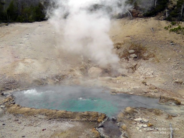 US road trip USA America montana wyoming yellowstone beartooth highway pass geyser