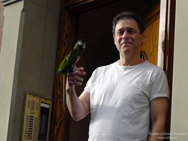 new york manhattan hurricane irene