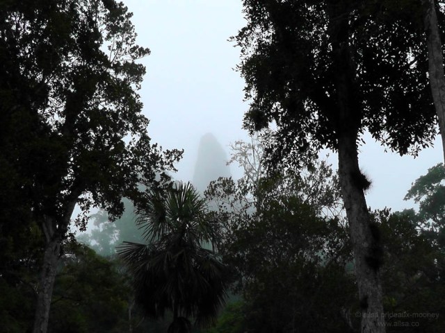 mayan ruin temple tikal guatemala ruins 