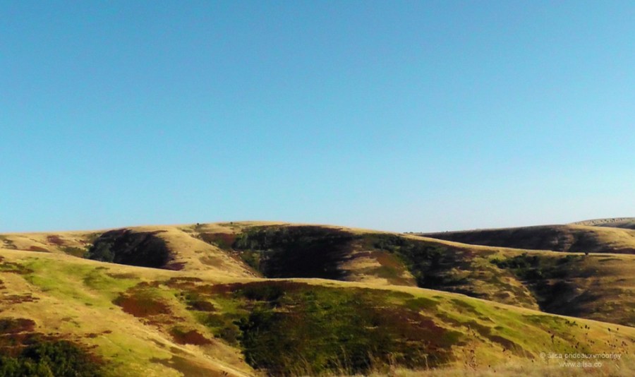 washington hills road trip us usa america driving cross country