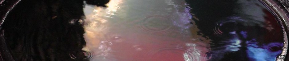 rain water manhole cover new york america us usa reflection neon