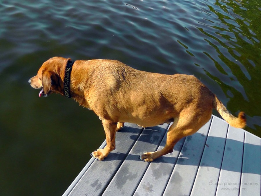 sprocket on the pier