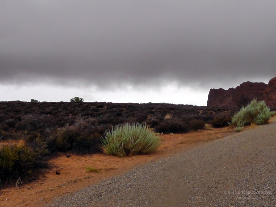 arches red green canyon utah monsoon road trip us usa america fog