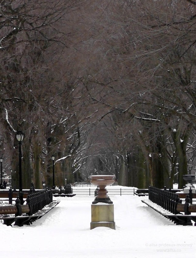 central park snow new york winter manhattan