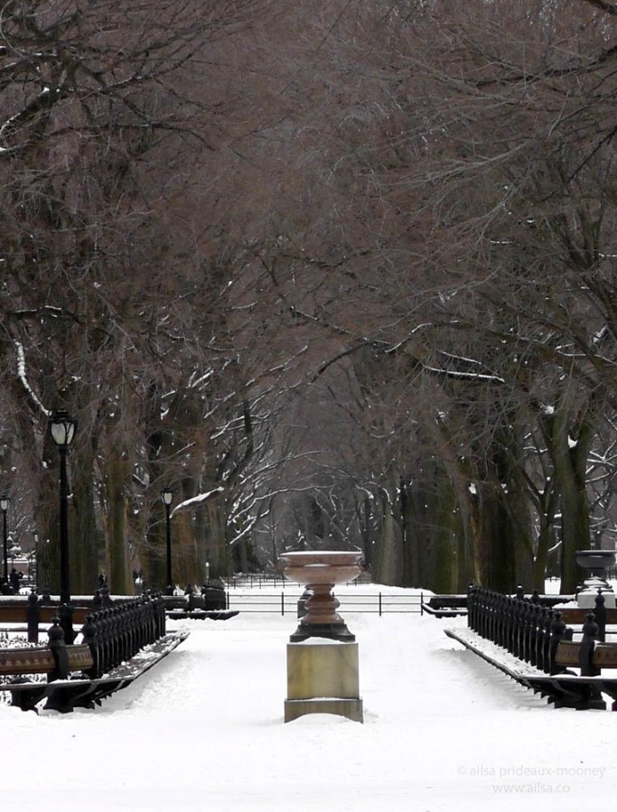 central park snow new york winter manhattan