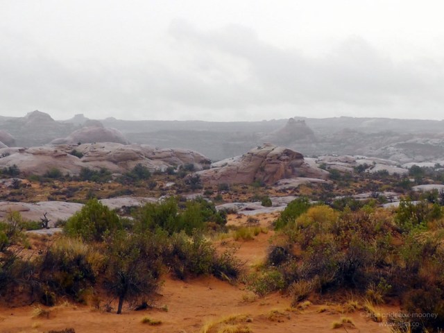 petrified sand dunes arches utah moab us usa america road trip national park
