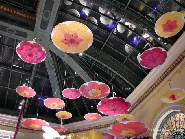 bellagio las vegas desert night glow us road trip usa america driving bellagio