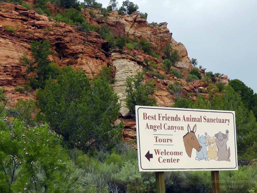 best friends animal society kanab utah sanctuary road trip