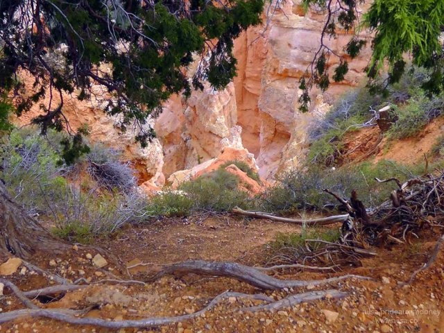 bryce pink hoodoos hoodoo canyon national park utah road trip
