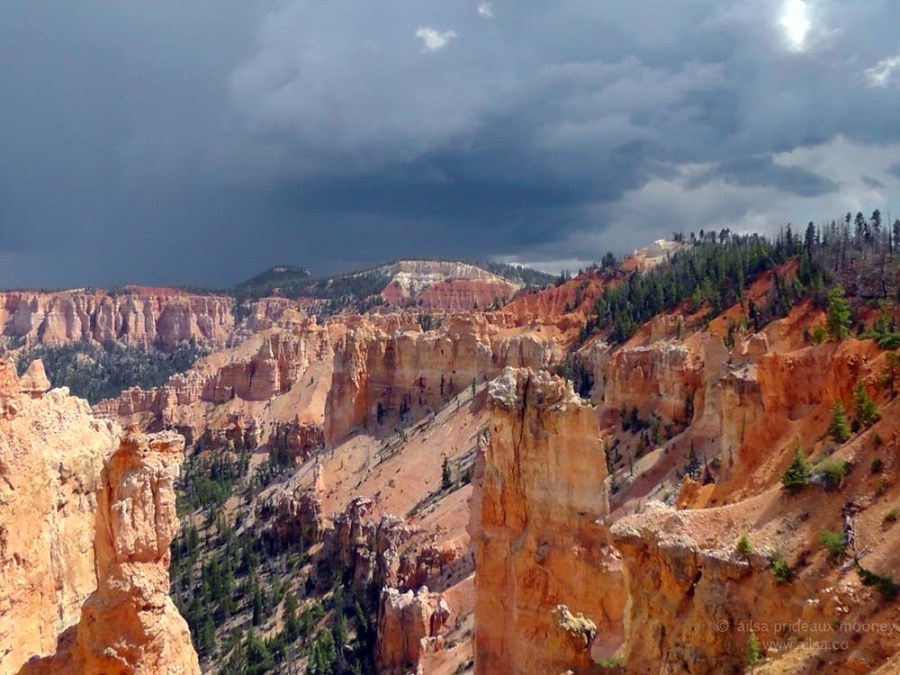 bryce pink hoodoos hoodoo canyon national park utah road trip rainbow point road trip
