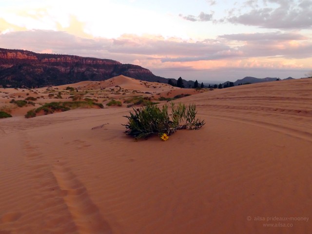 coral pink sand dunes state park utah sunset road trip