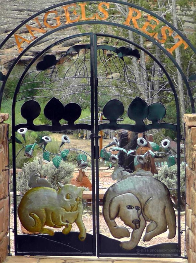 best friends animal society kanab utah sanctuary road trip