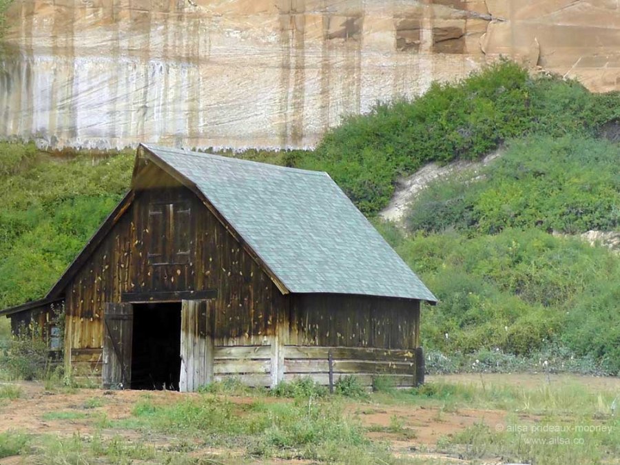 best friends animal sanctuary society kanab utah road trip disney barn one little indian